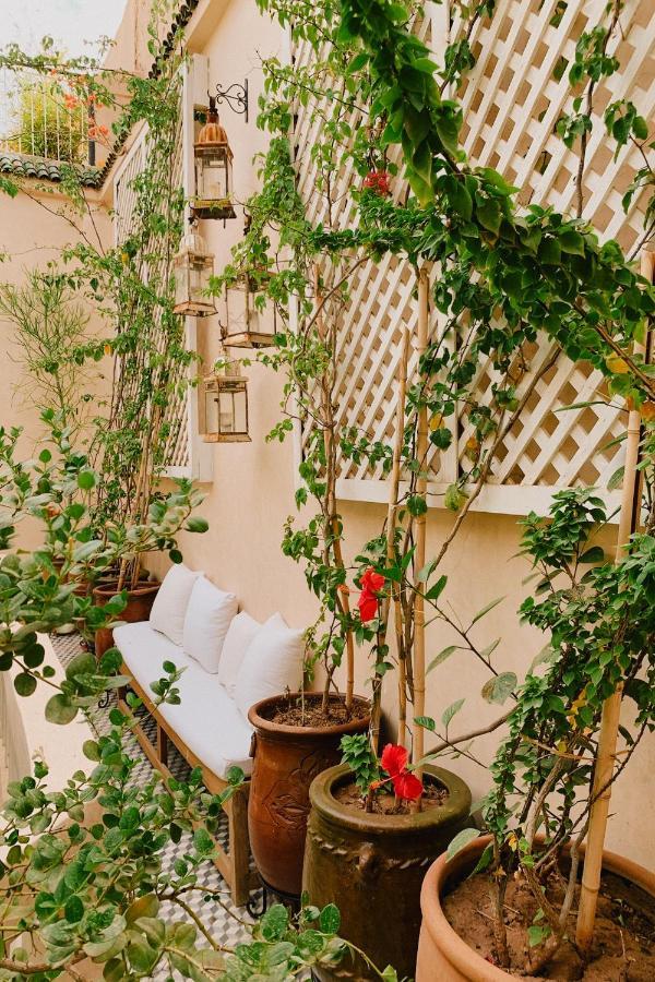 Riad Maison 24 Marrakesh Esterno foto