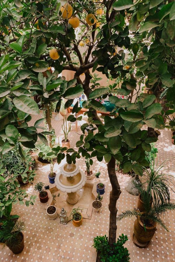 Riad Maison 24 Marrakesh Esterno foto